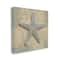 Stupell Industries Starfish Beach Objects Design Canvas Wall Art